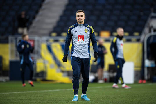 Henrik Castegren of the Swedish men's national football