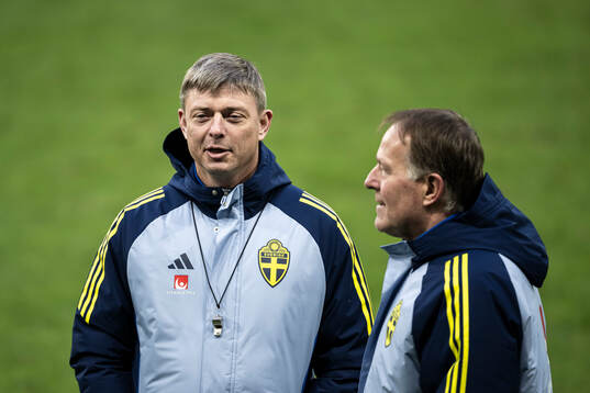 Head coach Jon Dahl Tomasson and assistant coach Remy