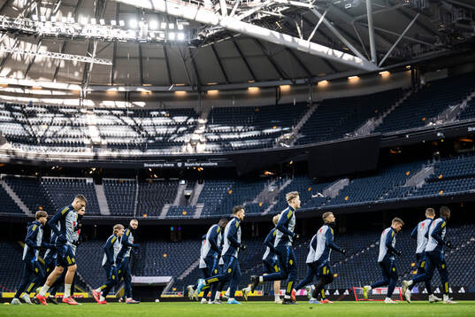 The players of the Swedish men's national football team at