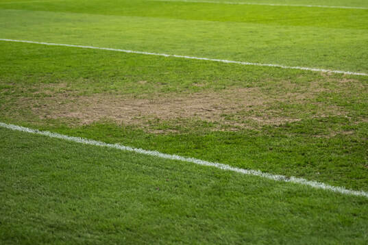 The pitch at Strawberry Arena at a training session with