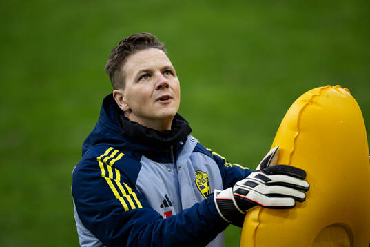 Goalkeeper coach Maths Elfvendal of the Swedish men's