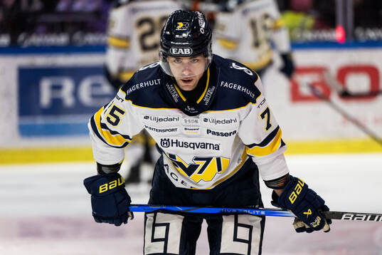 HV71s Radan Lenc deppar