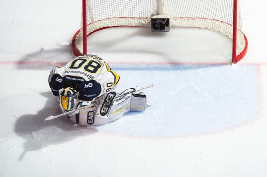 HV71s målvakt Frederik Dichow deppar