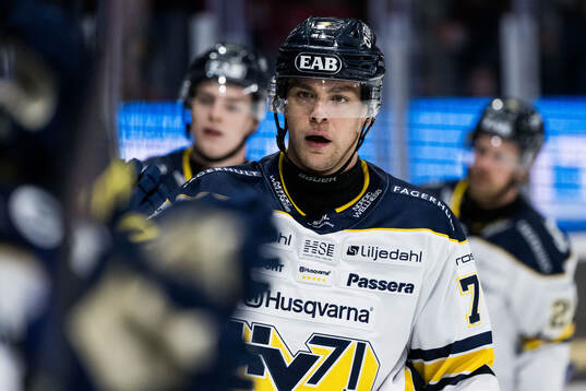 HV71s Radan Lenc jublar