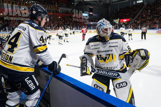 HV71s målvakt Hugo Alnefelt