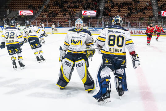 HV71s målvakt Hugo Alnefelt och målvakt Frederik Dichow
