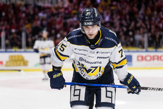 HV71s Radan Lenc deppar
