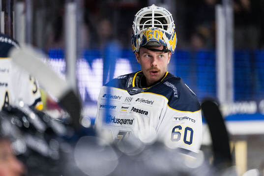 HV71s målvakt Hugo Alnefelt