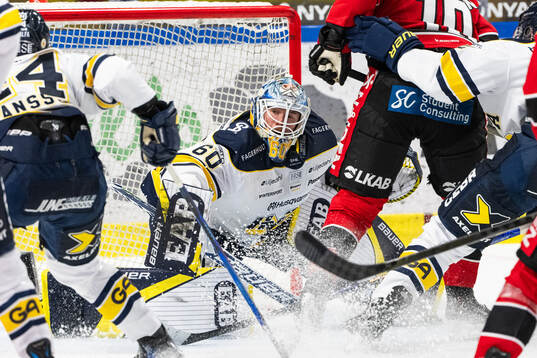 HV71s målvakt Hugo Alnefelt