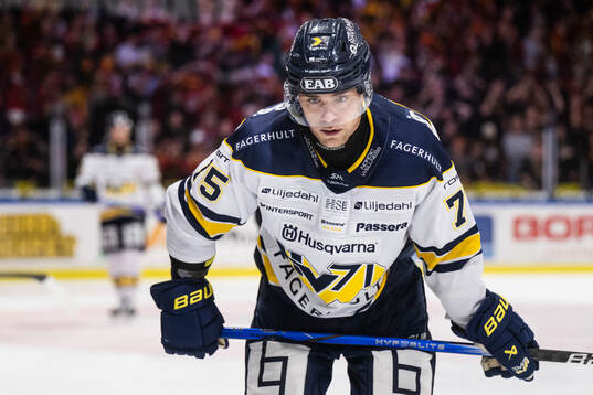 HV71s Radan Lenc deppar