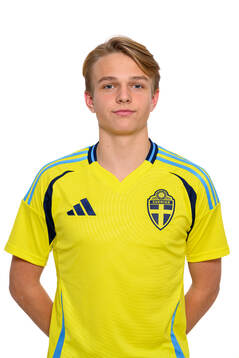 Filip Werner