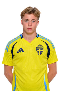Ludwig Wester