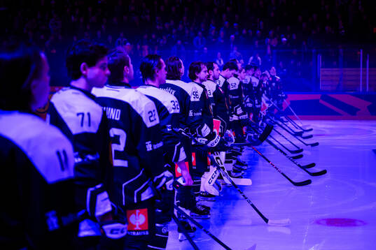 Players of Färjestad