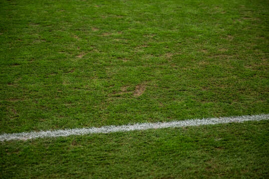 The pitch at Strawberry arena
