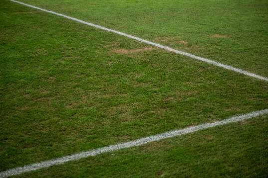 The pitch at Strawberry arena