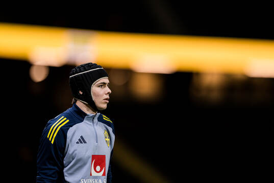 Goalkeeper Jacob Widell Zetterström of Sweden