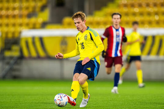 Wiliam Andersson of Sweden