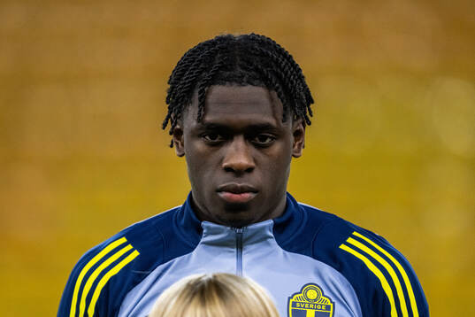 William Rashidi of Sweden
