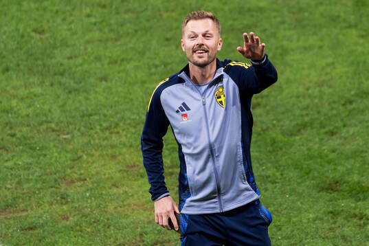Assistant coach Sebastian Larsson of Sweden