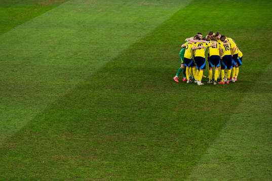 Players of Sweden