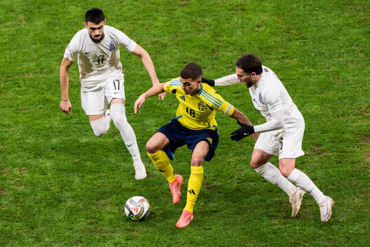 Turan Manafov and Emin Makhmudov of Azerbaijan against