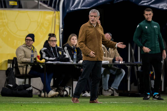 Head coach Giovanni de Biasi of Azerbaijan
