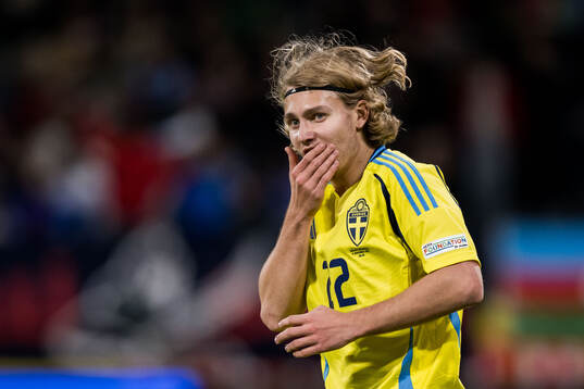 Sebastian Nanasi of Sweden in pain