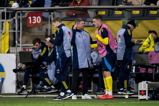 Head coach Jon Dahl Tomasson and Emil Holm of Sweden