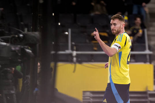 Dejan Kulusevski of Sweden celebrates the 1-0 goal