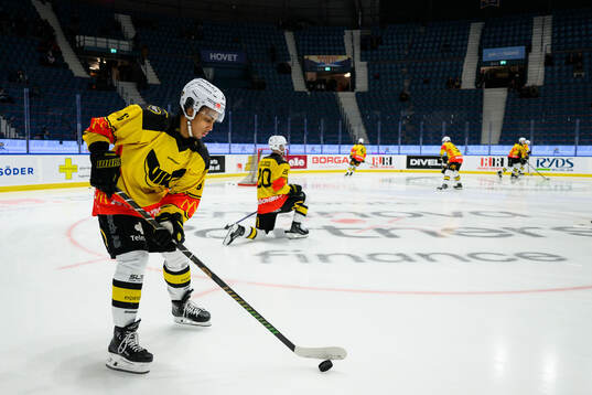 Västerås Noah Wolf