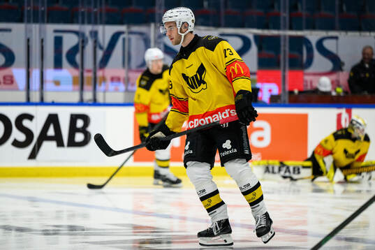 Västerås Anton Gradin