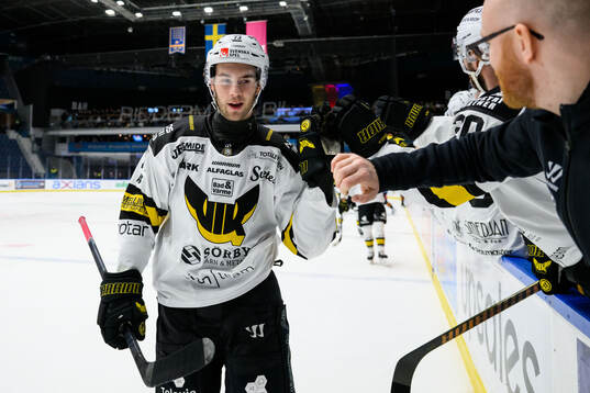 Västerås Anton Gradin jublar