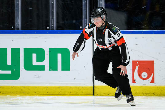 Domare Joakim Flink