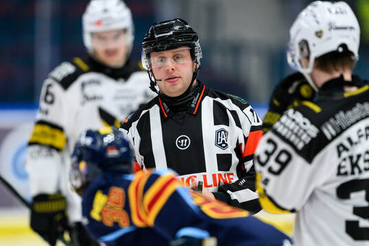 Domare Joakim Flink