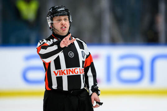 Domare Joakim Flink