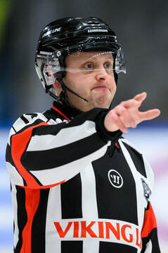 Domare Joakim Flink