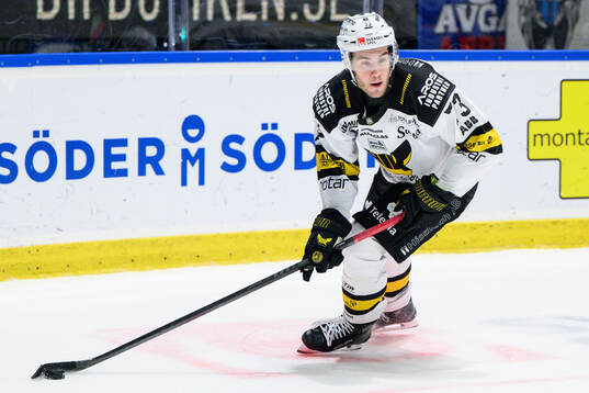 Västerås Anton Gradin
