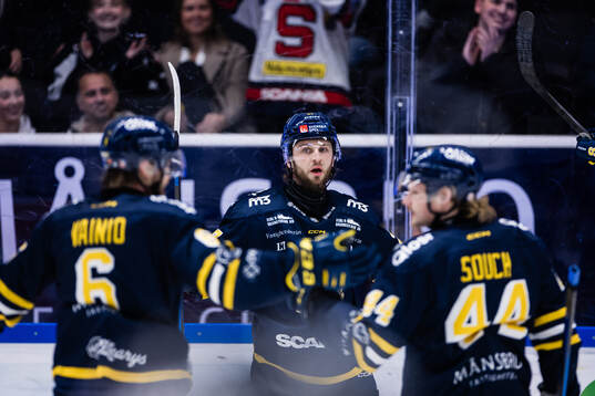 Södertäljes Daniel Norbe jublar