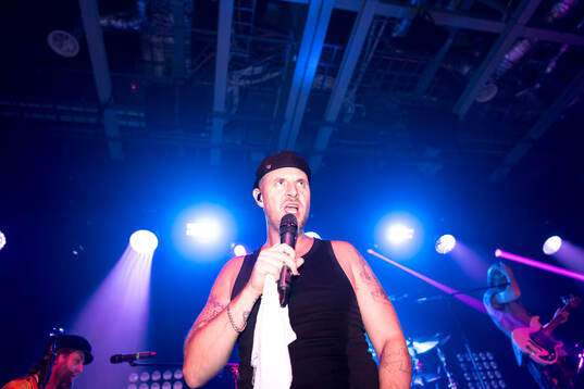 Hoffmaestro