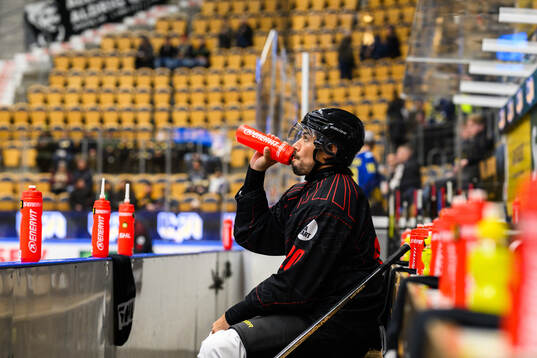 Brynäs Tyler Vesel