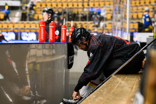 Brynäs Tyler Vesel
