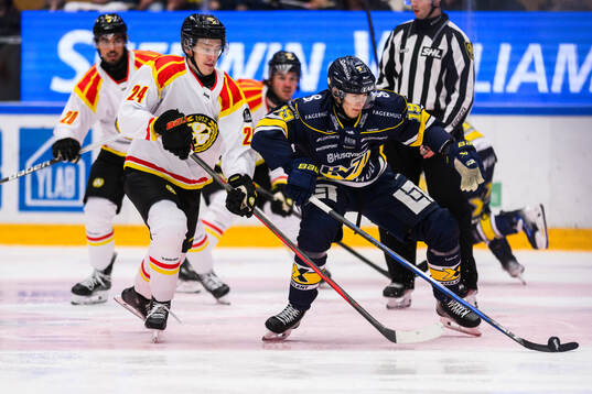 Brynäs Linus Lindblom och HV71s Henrik Borgström