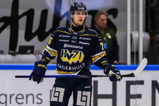 HV71s Radan Lenc deppar