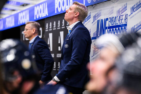 HV71s tränare Anton Blomqvist