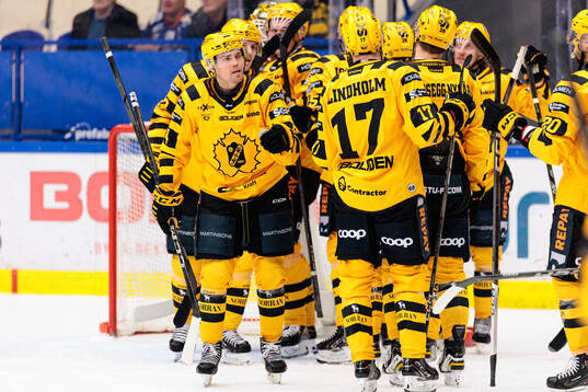 Skellefteås Andreas Johnson jublar