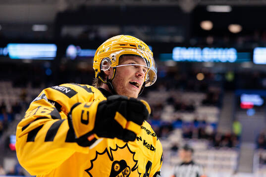 Skellefteås Rickard Hugg jublar