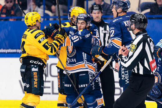 Skellefteås Andreas Johnson och Växjös Felix Robert