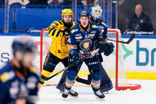 Skellefteås Martins Dzierkals och Växjös Joel Persson
