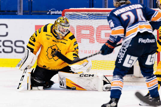Skellefteås målvakt Linus Söderström