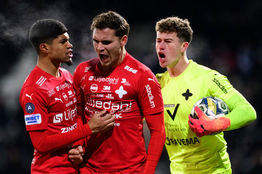 Värnamos Luke Le Roux, Michael Steinwender och Viktor